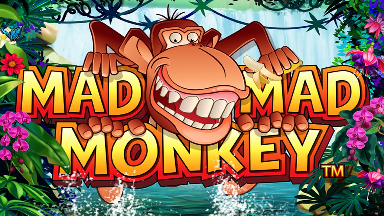 Mad Mad Monkey mobile slot
